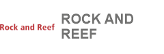 Rock & Reef